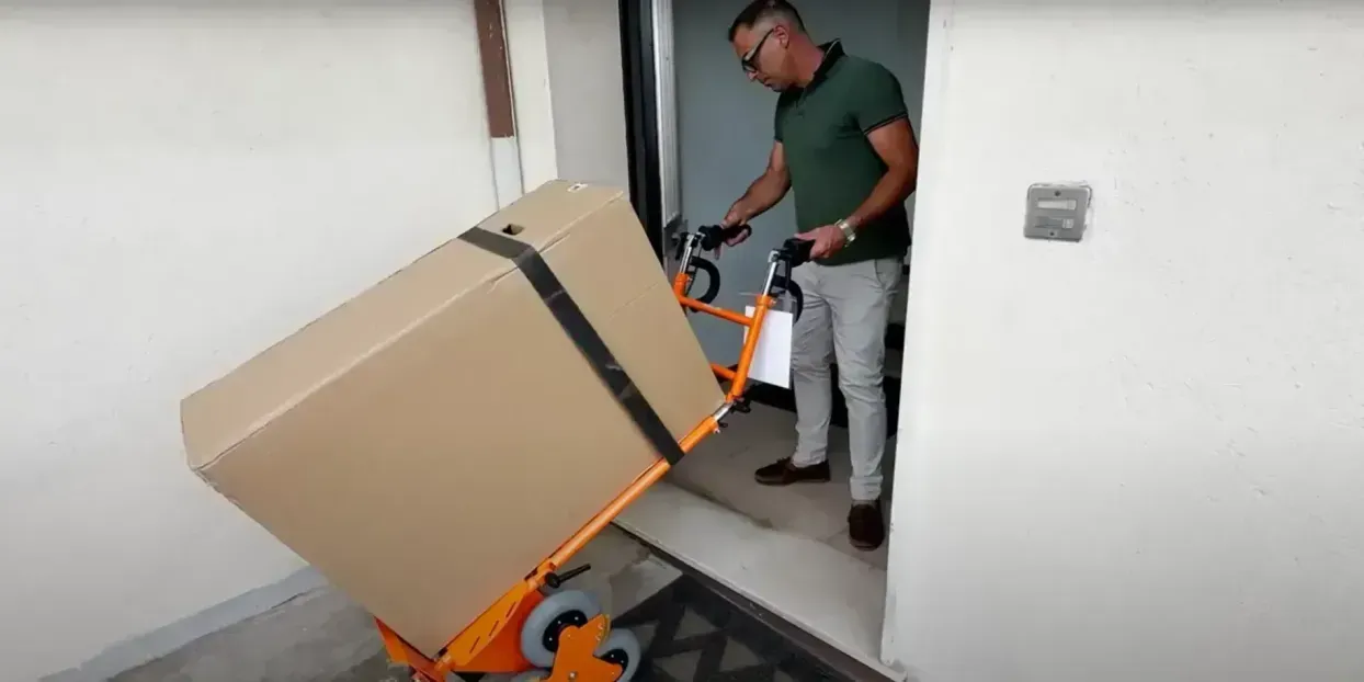 Professional movers carrying boxes
